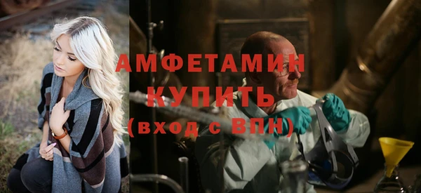 сатива Надым