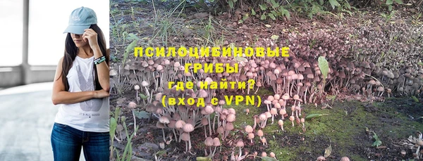 прущий лед Михайловск