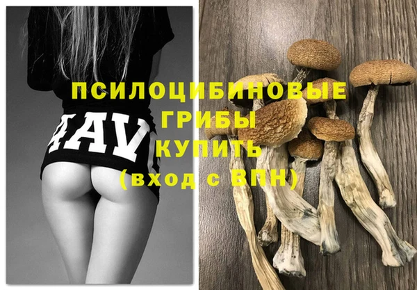 2c-b Михайлов
