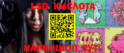 прущие крисы Гусев