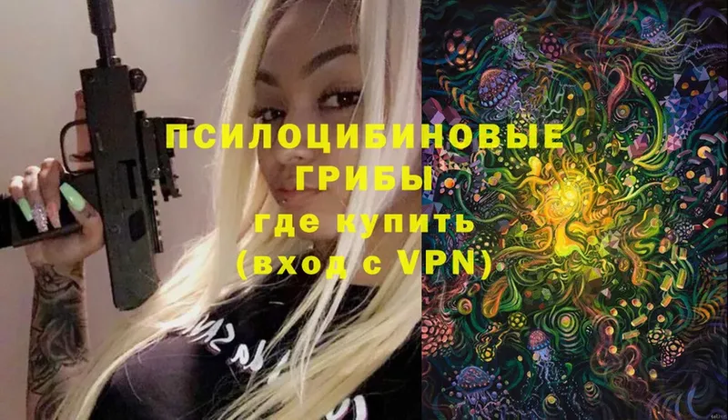 Псилоцибиновые грибы Psilocybe  Мегион 