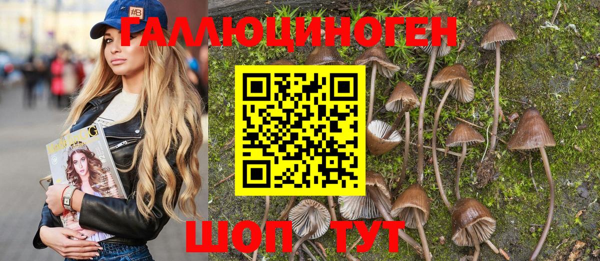 Псилоцибиновые грибы мицелий  Мегион 