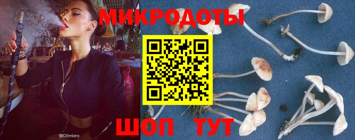  COCAIN Мегион